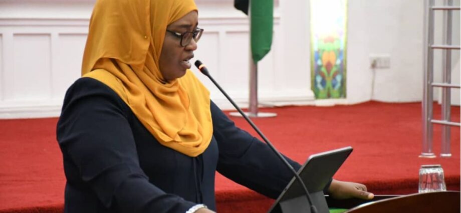 Zanzibar sets bold revenue target of Sh6.5 trillion